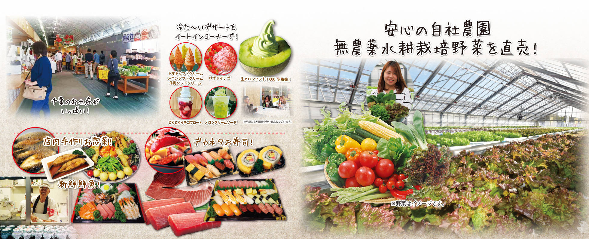 たんぽぽ農園の直売所