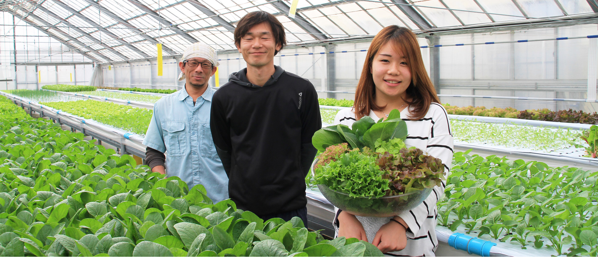 たんぽぽ農園の採用情報